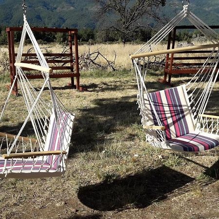 Eco Hotel 安图科 外观 照片
