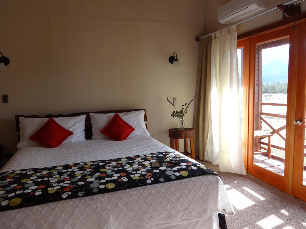 Eco Hotel 安图科 外观 照片